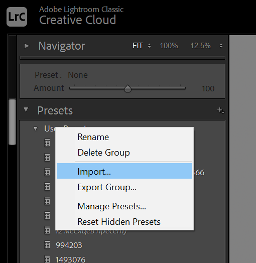 Скриншот импорта пресета в Lightroom