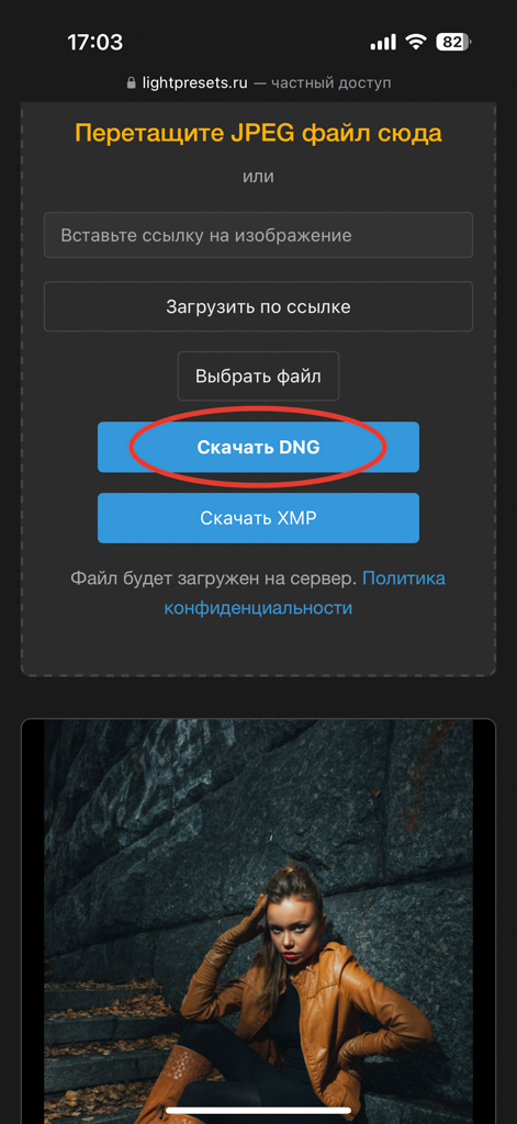 Скачивание DNG пресета